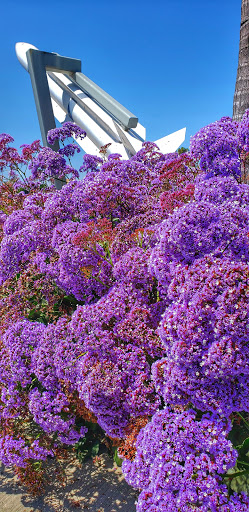 Golf Course «Navy Golf Course», reviews and photos, 5660 Orangewood Ave, Cypress, CA 90630, USA