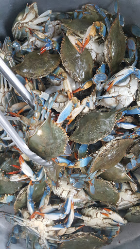 Shopping Mall «Carrollton Shopping Center», reviews and photos, 8474 Annapolis Rd, New Carrollton, MD 20784, USA