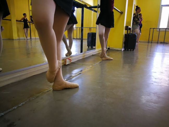 Centro Cultural Agrupación De Danza Miguel Pizarro - Escuela de danza