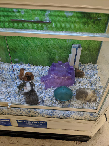 Pet Supply Store «PetSmart», reviews and photos, 10940 E Foothill Blvd, Rancho Cucamonga, CA 91730, USA