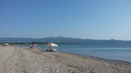 Tsokaiti Istiaia