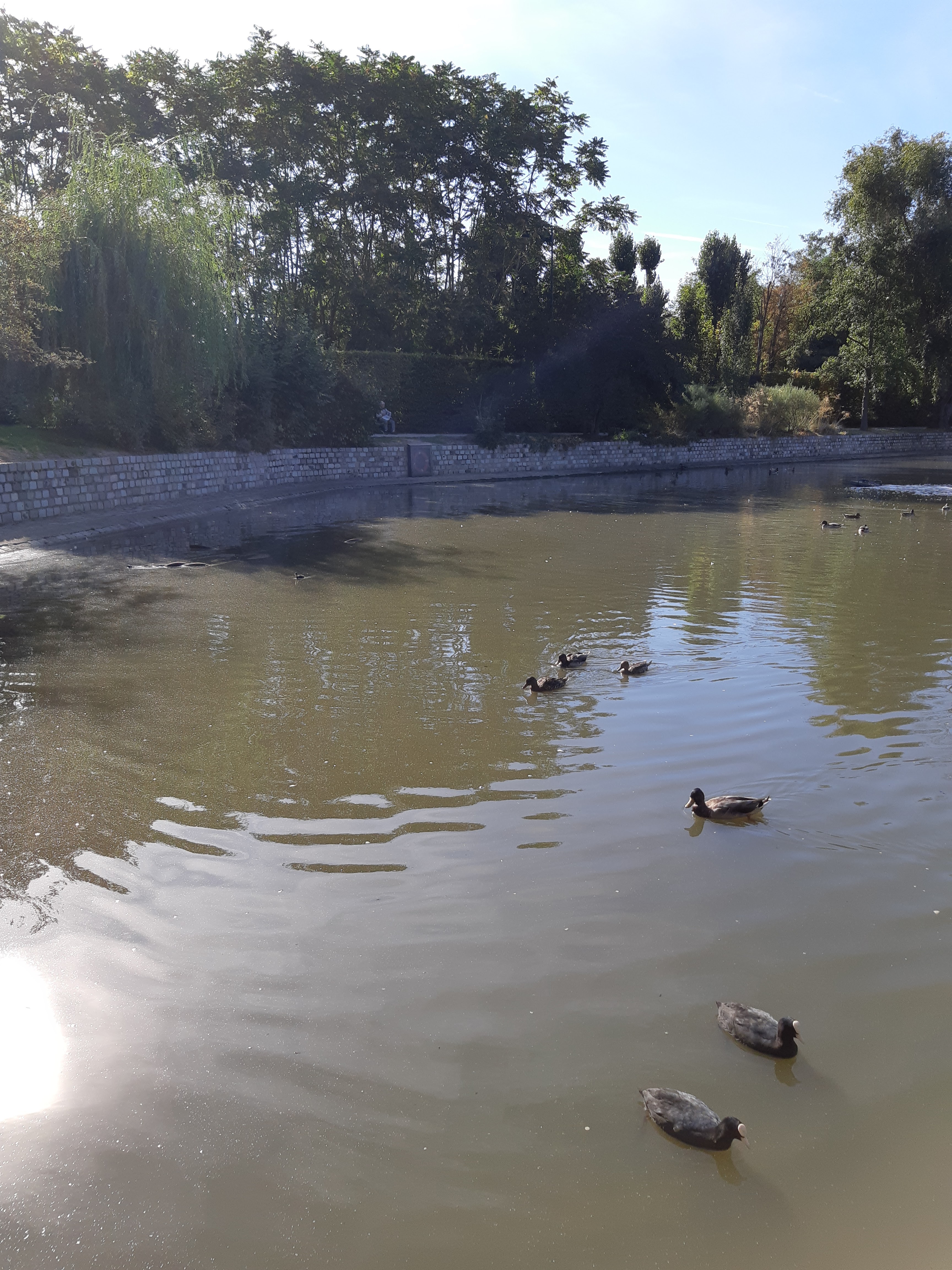 Photo n° 3 de l'avis de Jean-Luc.e fait le 15/12/2018 à 04:22