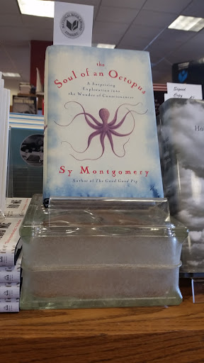 Book Store «Watermark Books & Cafe», reviews and photos, 4701 E Douglas Ave, Wichita, KS 67218, USA