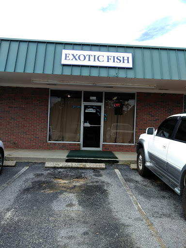 Exotic Fish, 406 Northside Dr # F, Valdosta, GA 31602, USA, 