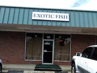 Exotic Fish