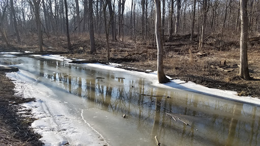 Nature Preserve «Messenger Woods Nature Preserve», reviews and photos, 13800 W Bruce Rd, Homer Glen, IL 60491, USA