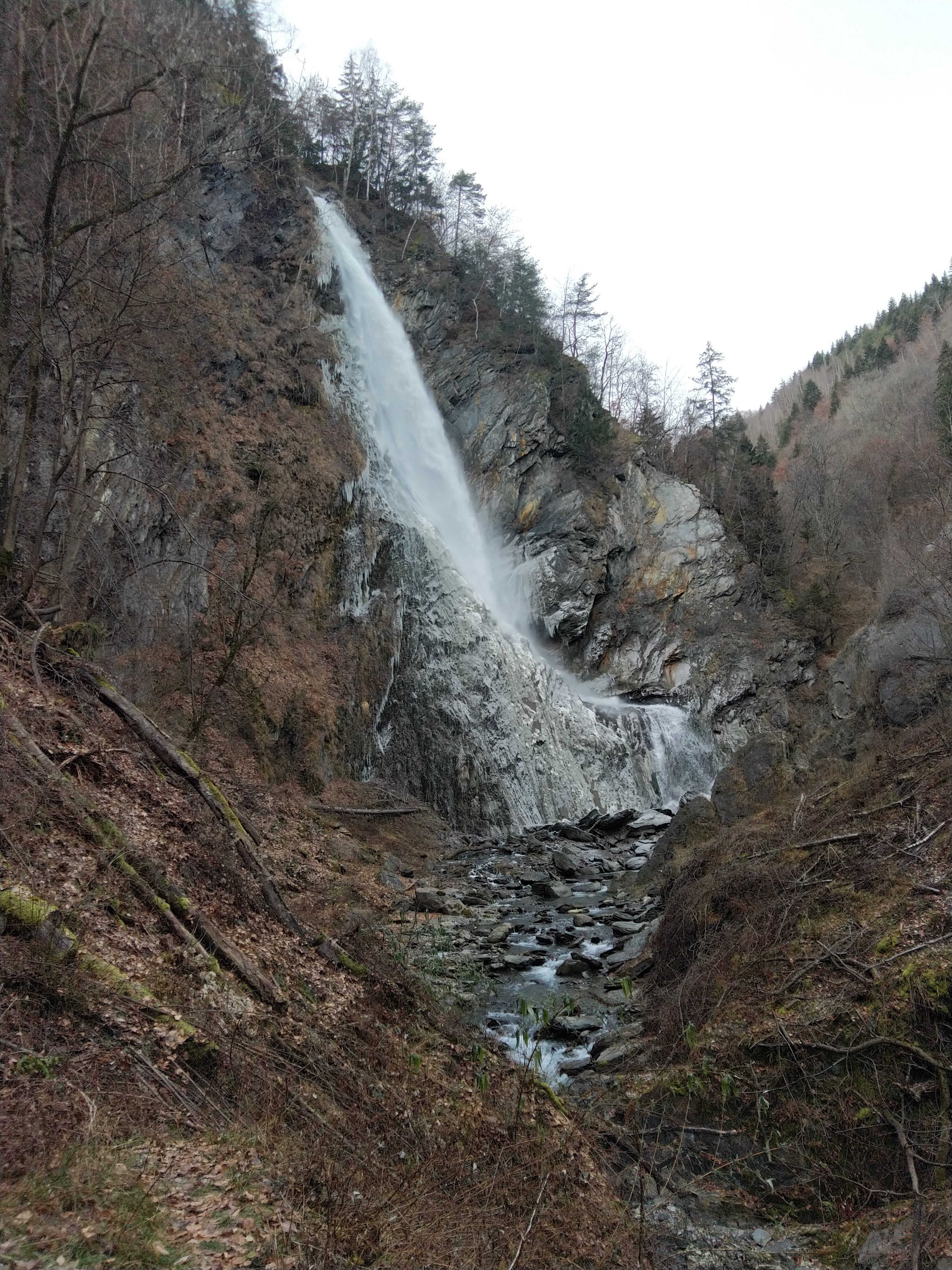 Photo n° 4 de l'avis de Valérie.a fait le 04/01/2021 à 07:15