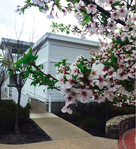 Youth Social Services Organization «YWCA Greater Newburyport», reviews and photos, 13 Market St, Newburyport, MA 01950, USA