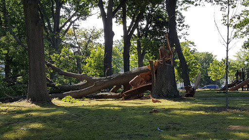 Golf Course «William J. Devine Golf Course at Franklin Park», reviews and photos, 1 Circuit Dr, Dorchester, MA 02121, USA