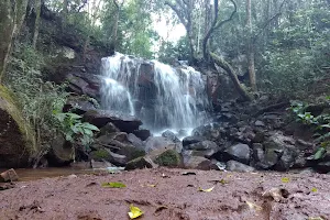 Centro de Educação Ambiental Suely Marcondes de Moura Festugatto image