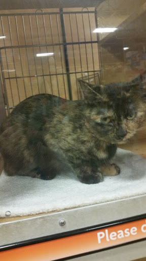 Pet Supply Store «PetSmart», reviews and photos, 2718 Legends Pkwy, Prattville, AL 36066, USA