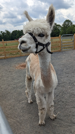 Gift Shop «Hidden Spring Lavender Farm and Gift Shoppe», reviews and photos, 890 Belle Mead-Blawenburg Rd, Skillman, NJ 08558, USA