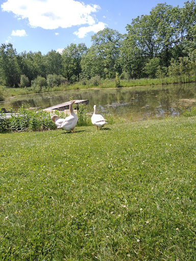 Firesign Family Farm