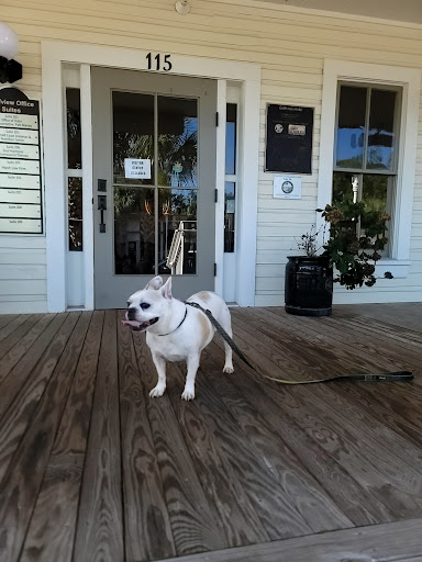 Pet Supply Store «3 Dogs and a Chick», reviews and photos, 130 Miracle Strip Pkwy SE, Fort Walton Beach, FL 32548, USA