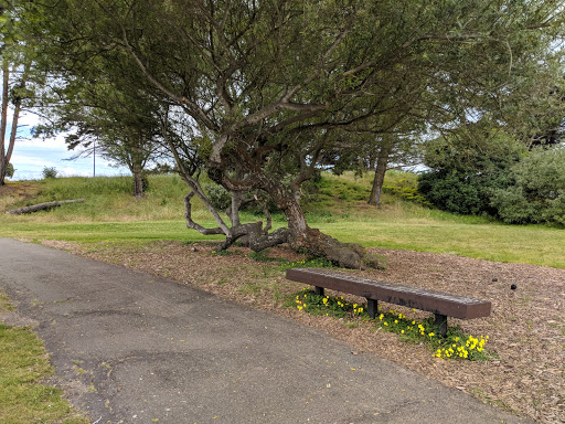 Nature Preserve «Shorebird Park Nature Center», reviews and photos, 160 University Ave, Berkeley, CA 94710, USA