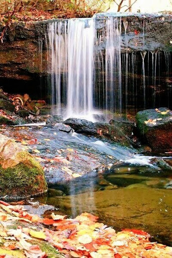 Nature Preserve «Little River Canyon National Preserve», reviews and photos, 4322 Little River Trail NE, Fort Payne, AL 35984, USA