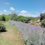 Photo n°3 de l'avis de Cinzia.o fait le 03/07/2023 à 13:45 sur le  BIVI | Ristorante - Giardino sensoriale à Paulilatino