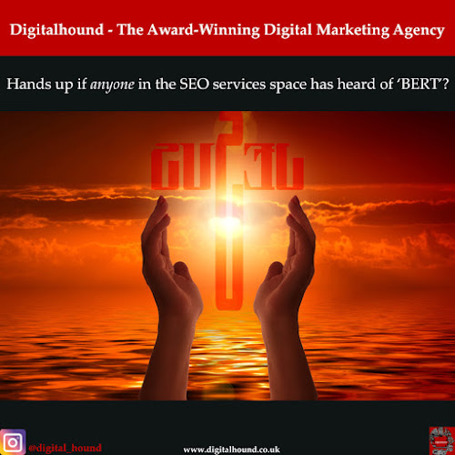Digitalhound - A London SEO Agency - Advertising agency