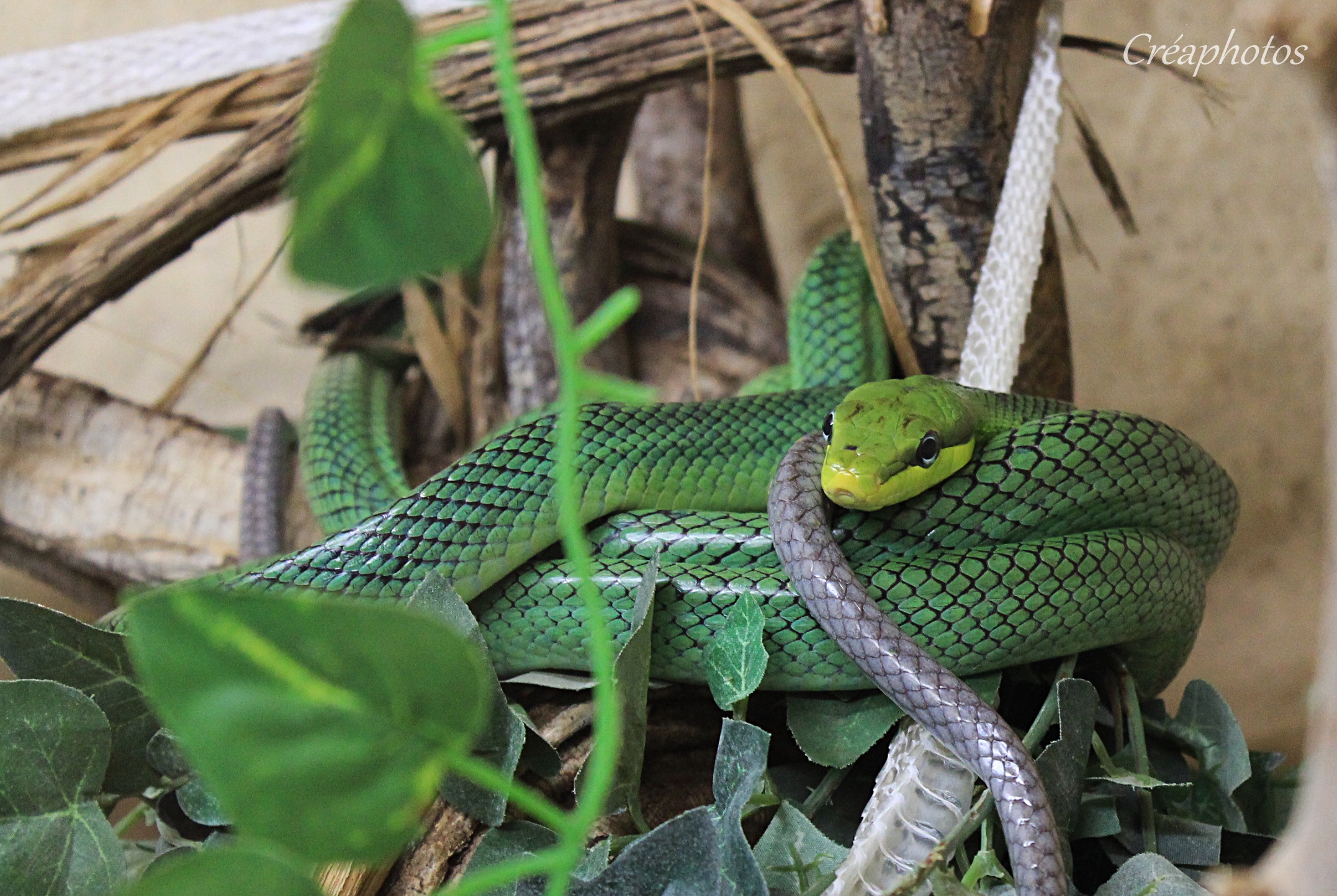 Photo n° 1 de l'avis de Amandine.r fait le 28/06/2021 à 15:42