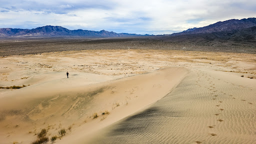 Kelso Dunes Trail