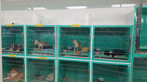 Pet Supply Store «Pet Palace Inc», reviews and photos, 253 Scranton Carbondale Hwy, Scranton, PA 18508, USA