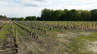 Cuvée César à Saint-Romain-sur-Cher