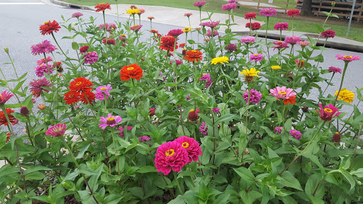 Gift Shop «Love Street», reviews and photos, 1295 Concord Rd SE, Smyrna, GA 30080, USA