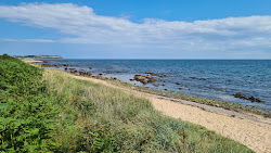 Shandwick Beach'in fotoğrafı vahşi alan