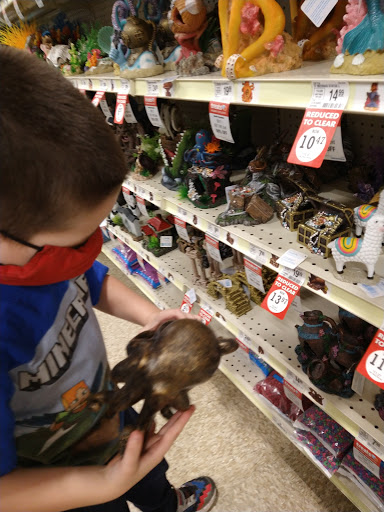 Pet Supply Store «PetSmart», reviews and photos, 555 S Cotton Ln, Goodyear, AZ 85338, USA