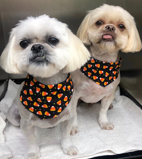 Pet Groomer «ITIG Happy Dog Wash», reviews and photos, 6465 S Chickasaw Trail, Orlando, FL 32829, USA