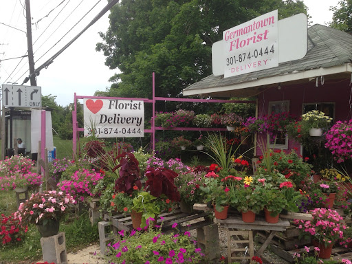 Florist «GENES FLORIST & Gift Baskets», reviews and photos, 20200 Frederick Rd, Germantown, MD 20876, USA