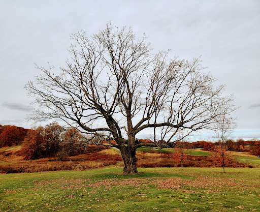Golf Course «William J. Devine Golf Course at Franklin Park», reviews and photos, 1 Circuit Dr, Dorchester, MA 02121, USA