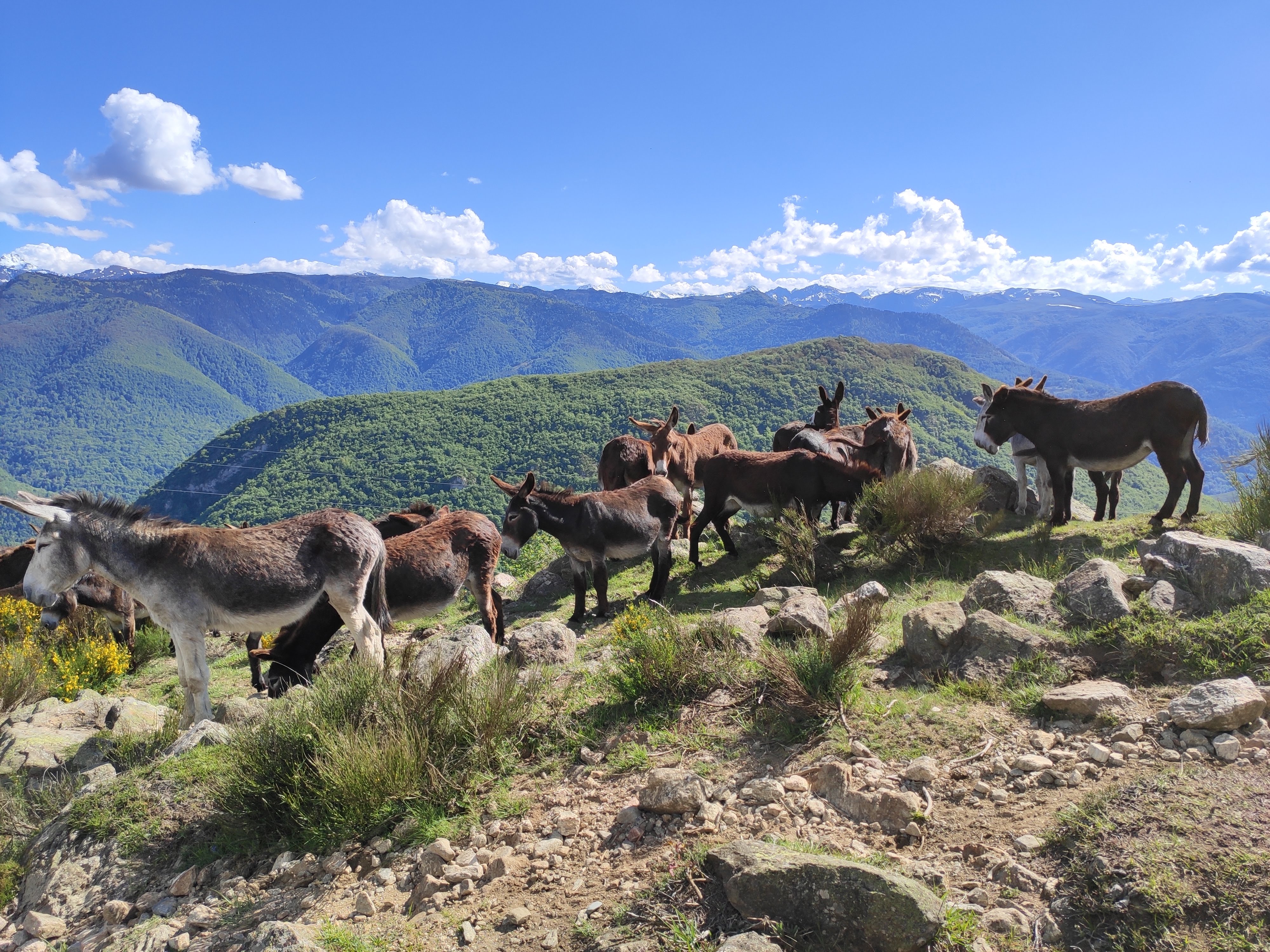 Photo n° 25 de l'avis de Florian.o fait le 04/06/2019 à 10:25