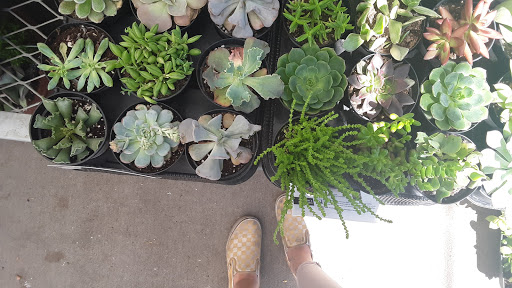 Home Improvement Store «The Home Depot», reviews and photos, 2580 Notre Dame Blvd, Chico, CA 95928, USA