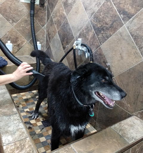  «Yarn & Bone Pet Supply Company», reviews and photos, 129 Rd 4 #1, Camden, DE 19934, USA