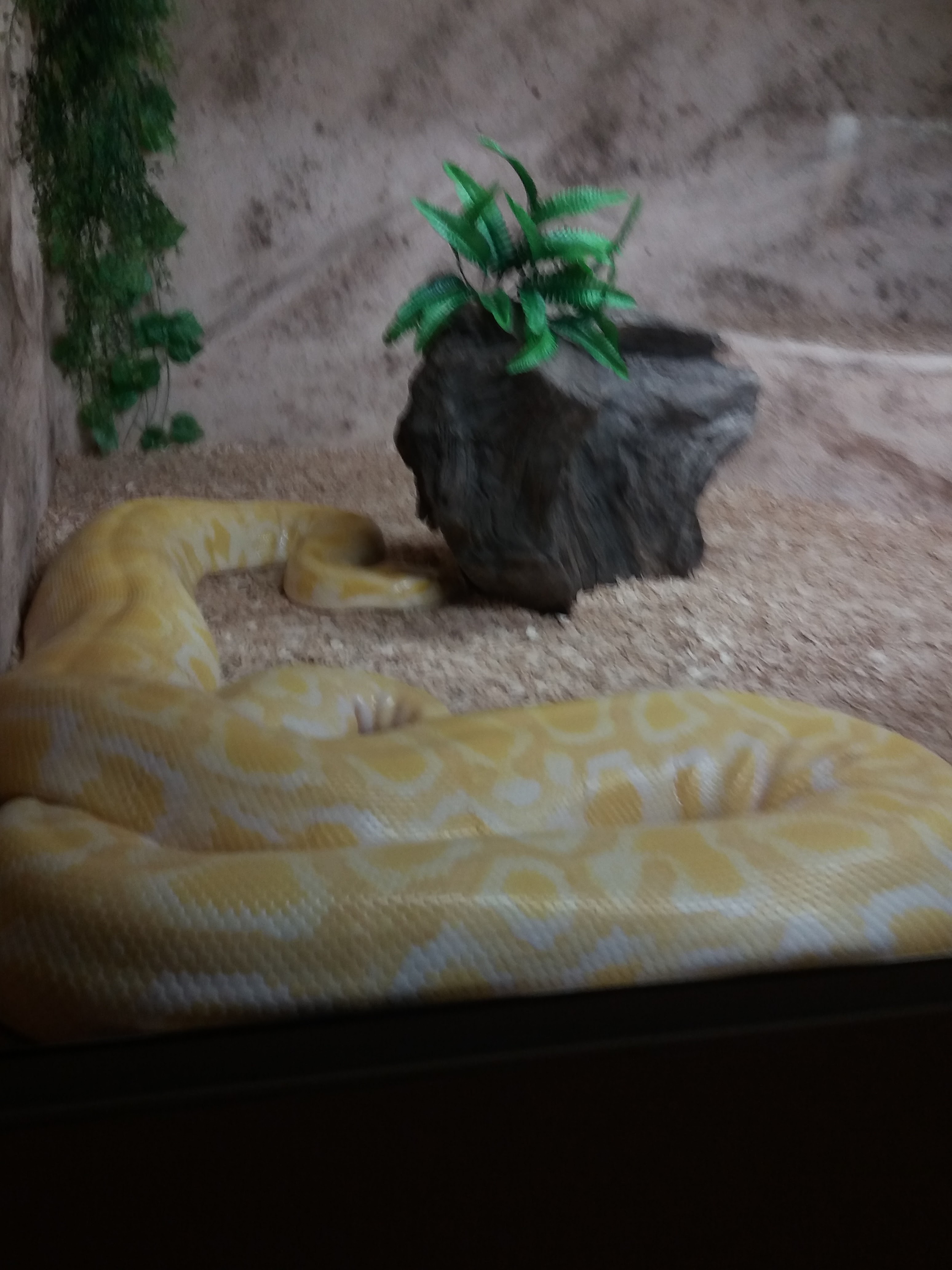 Photo n° 38 de l'avis de Damien.i fait le 21/08/2017 à 19:35