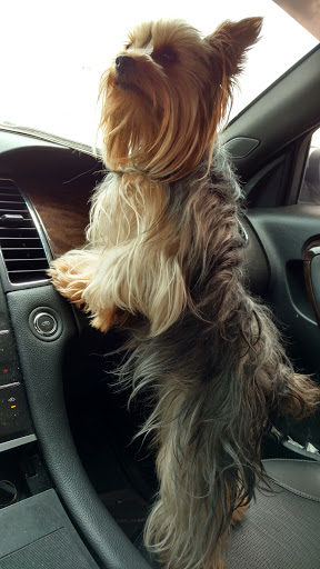 State Liquor Store «Fine Wine & Good Spirits», reviews and photos, 1135 N 4th St, Sunbury, PA 17801, USA