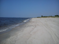 Photo de Khmelevka beach situé dans une zone naturelle