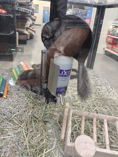 Pet Supply Store «IncrediPet», reviews and photos, 306 Southland Dr, Lexington, KY 40503, USA