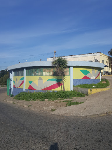 Pergola De Las Flores