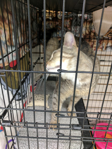 Pet Supply Store «Pet Supplies Plus», reviews and photos, 3984 Seneca St, West Seneca, NY 14224, USA