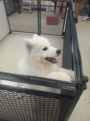 Pet Supply Store «Pet Palace Inc», reviews and photos, 253 Scranton Carbondale Hwy, Scranton, PA 18508, USA