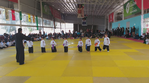 Escuela de artes marciales Culiacán Rosales