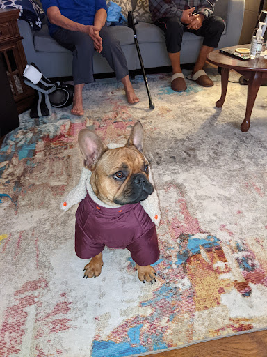 Pet Supply Store «PetSmart», reviews and photos, 1196 W Olive Ave, Merced, CA 95348, USA