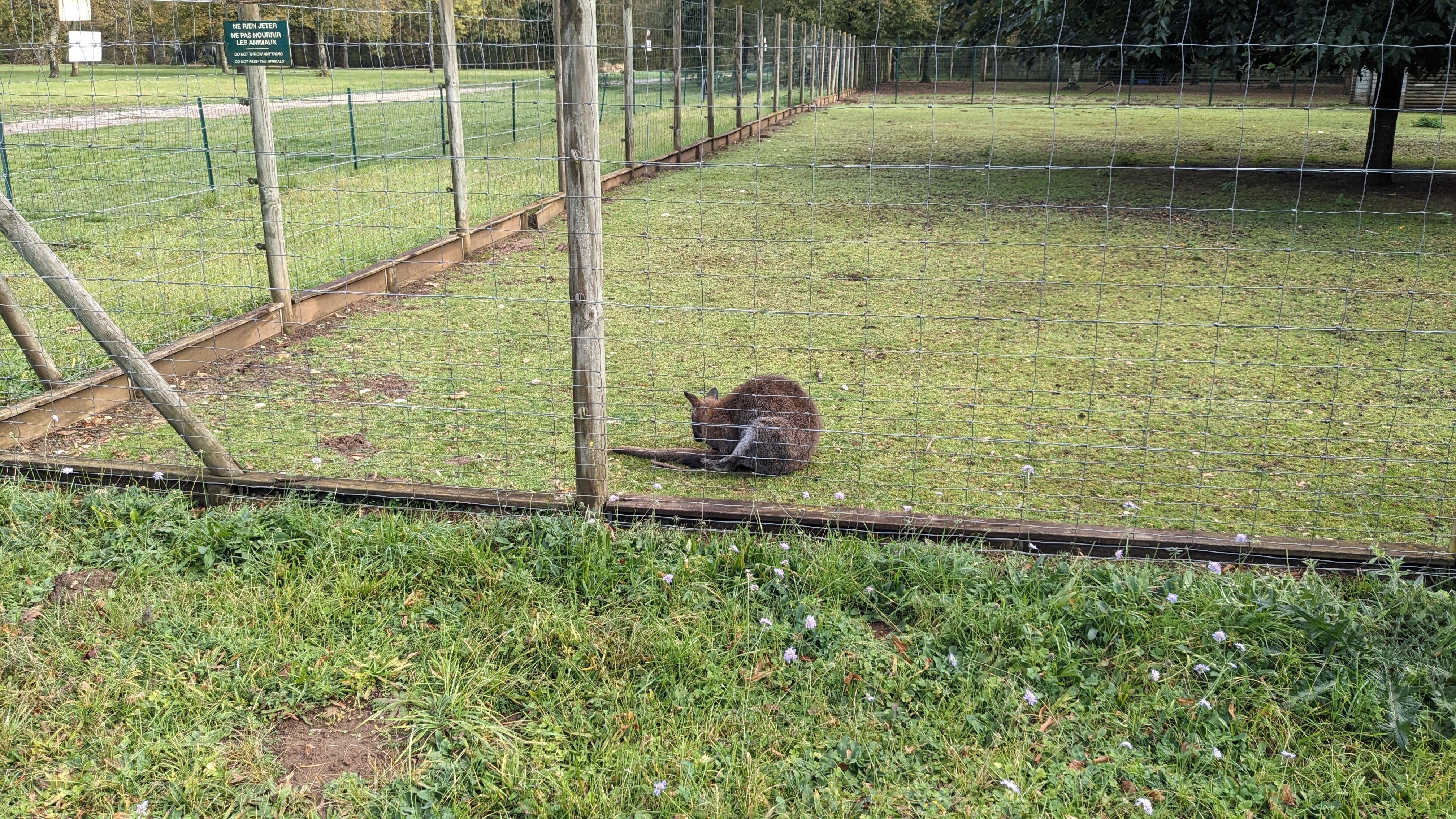 Photo n° 2 de l'avis de Grégory.g fait le 28/10/2023 à 17:54