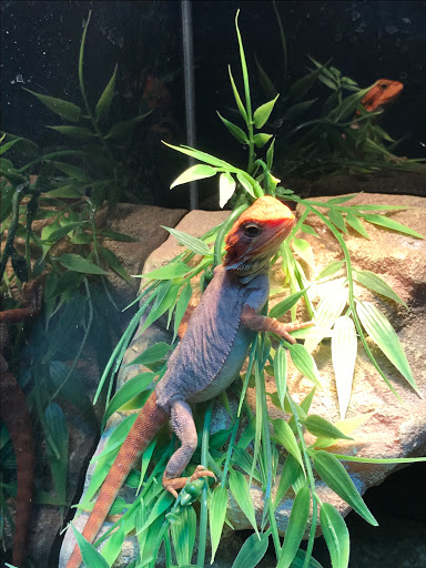 Sand Bar Pet Shop image