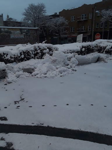 Grocery Store «Foodtown of Mount Vernon», reviews and photos, 31 E Prospect Ave, Mt Vernon, NY 10550, USA