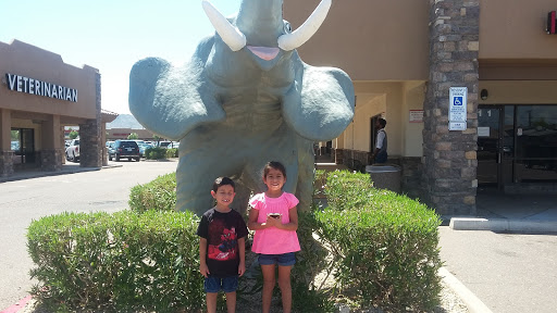 Amusement Center «Jambo Park», reviews and photos, 12046 N 32nd St, Phoenix, AZ 85028, USA