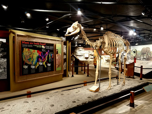 Museum «Alf Museum», reviews and photos, 1175 Base Line Rd, Claremont, CA 91711, USA