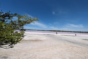 Pink Punit Lake image